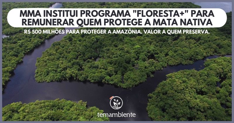 MMA INSTITUI PROGRAMA FLORESTA+ PARA REMUNERAR QUEM PROTEGE A MATA NATIVA